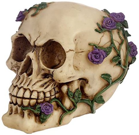 HoitoDeals Gothic Skull with Purple Roses For Home Decor Novelty Ornament (1Pcs Random Design) : Amazon.co.uk: Home & Kitchen