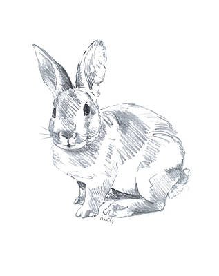 Sketch Art Prints | bunny