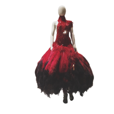 red black feather dress