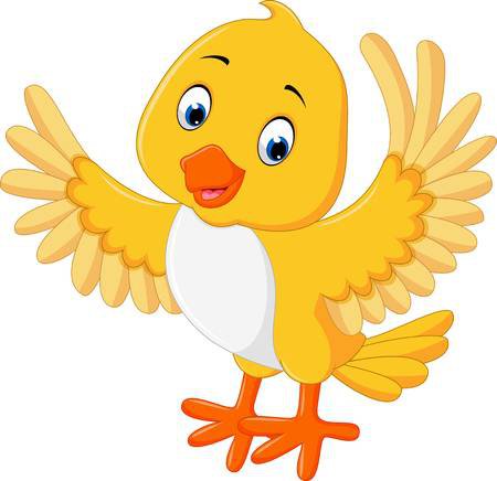 Cute Yellow Bird Cartoon Stock Photo, Picture And Royalty Free Image. Image 60764267.