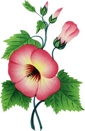 Colorful Floral Flower - Free vector graphic on Pixabay