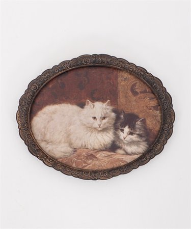 Cat framed picture