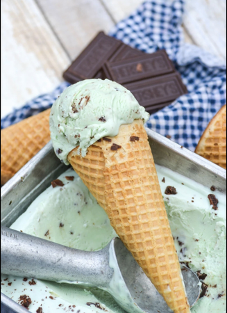 Mint Chocolate Chip Icecream