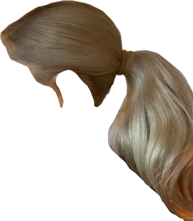 Ariana ponytail hair