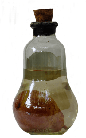 magic bottle
