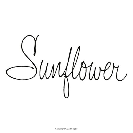 sunflowers word - Google Search