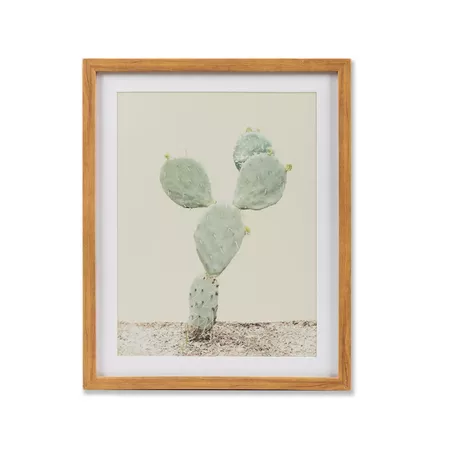 Framed Cactus Wall Print 2pk White/Green 20"x16" - Project 62™