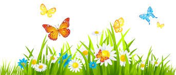 spring flowers clip art - Google Search