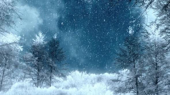 Winter Background Loops by rover5 | VideoHive