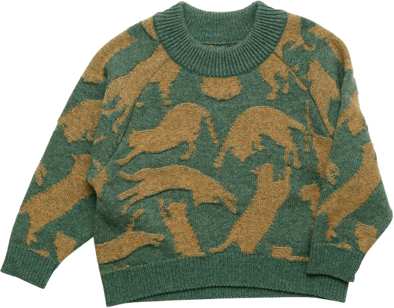 cias pngs // cat sweater green and yellowish