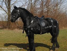 black horse war saddle - Google Search