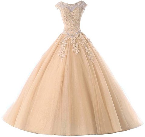 Amazon.com: Ball Gown Quinceanera Dresses Tulle Long Prom Party Gowns Sweet 16 Formal Dress Blush US 2: Clothing, Shoes & Jewelry