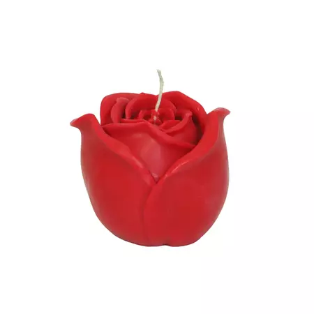 Love Ally - Rose Candle Red Large | Peter's of Kensington