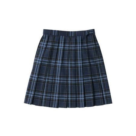 School Skirt (ARCS-1021) (W66) ARCS-1021 arCONOMi Apparel (105 CAD)