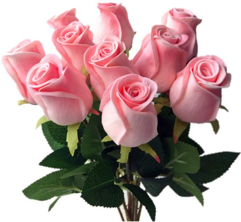 pink roses - Google Search