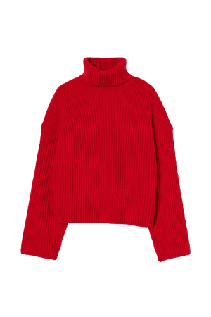 H&M Ribbed Turtleneck Sweater