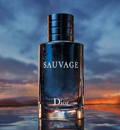 Sauvage Eau de Toilette: freshness with a woody trail | DIOR