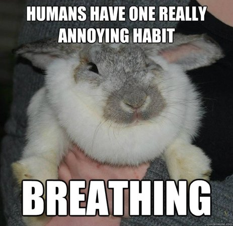 Humans have one really annoying habit breathing - Angry Bunny - quickmeme