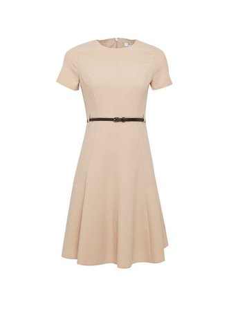 DP Petite Stone Short Sleeve Fit and Flare Dress | Dorothy Perkins