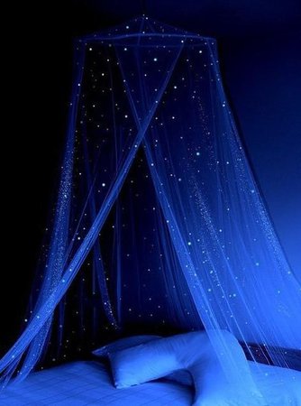 dark blue canopy bed - Google Search