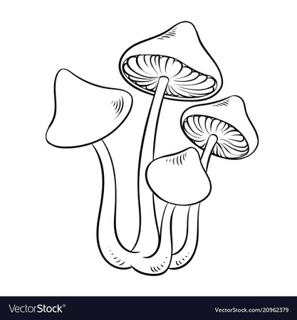 Narcotic mushroom coloring Royalty Free Vector Image