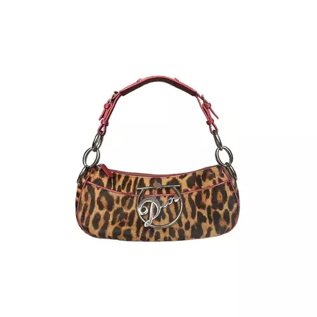 Dior Bag Authentic Dior Cursive Leopard Ponyskin Style - Etsy Australia