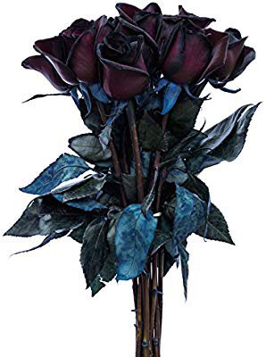 12 Stems - Fresh Cut Black Roses from Flower Explosion: Amazon.ca: Grocery
