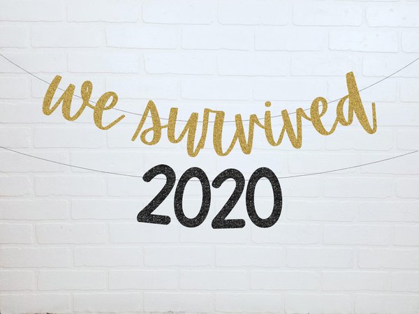 We Survived 2020 New Years Eve Decorations 2020 Banner | Etsy