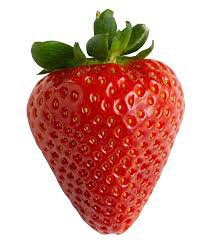 strawberries transparent background - Google Search