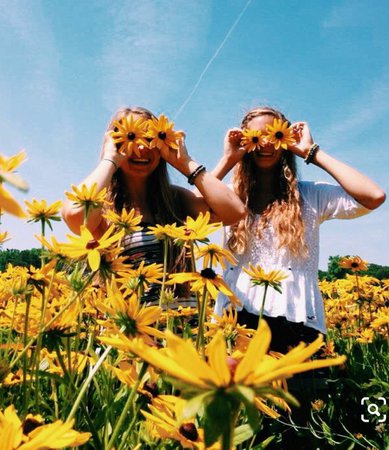 friends in field of daisies-Pinterest