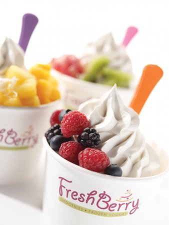 frozen-yogurt1.jpg (453×604)