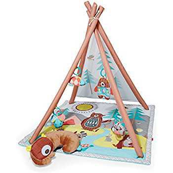 Amazon.com : Skip Hop Baby Infant and Toddler Camping Cubs Activity Gym and Playmat, Multi : Baby