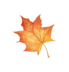 Watercolor fall leaves set Royalty Free Vector Image