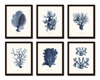 Vintage Indigo Blue Sea Coral Print Set No. 2 Giclee Art | Etsy