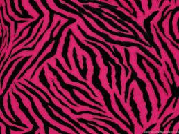 hot pink zebra