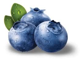 blueberry - Google Search