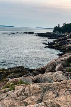 Maine Coastline in Acadia National Park