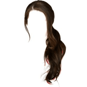 BROWN HAIR PNG SIDE PONYTAIL