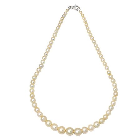 Natural Saltwater Pearl Necklace For Sale at 1stdibs
