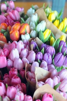 (21) Pinterest - The Pink Pagoda | flowers for spring