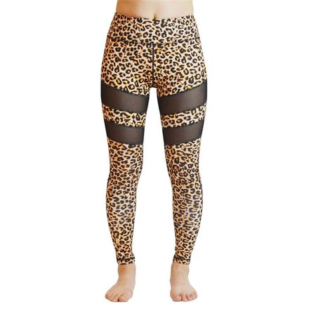 Sexy Breathable Leopard Print Mesh Leggings - FlexinSexy