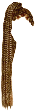 Honey Brown Box Braid High Ponytail (Dei5)