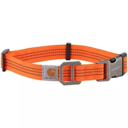 orange dog accessories - Google Search