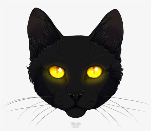 Black By Vialir - Black Cat Head Png Transparent PNG - 974x820 - Free Download on NicePNG