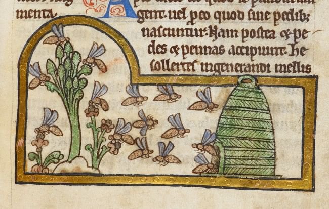 Medieval Beekeeping