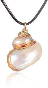 Amazon.com: FM FM42 Natural Seashell Shell Scallop Conch Pendant Necklace (Style 6) FN4248: Jewelry