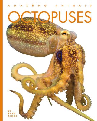 Octopuses (Amazing Animals) (Library Binding) | Third Place Books