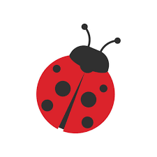 cute ladybug - Google Search
