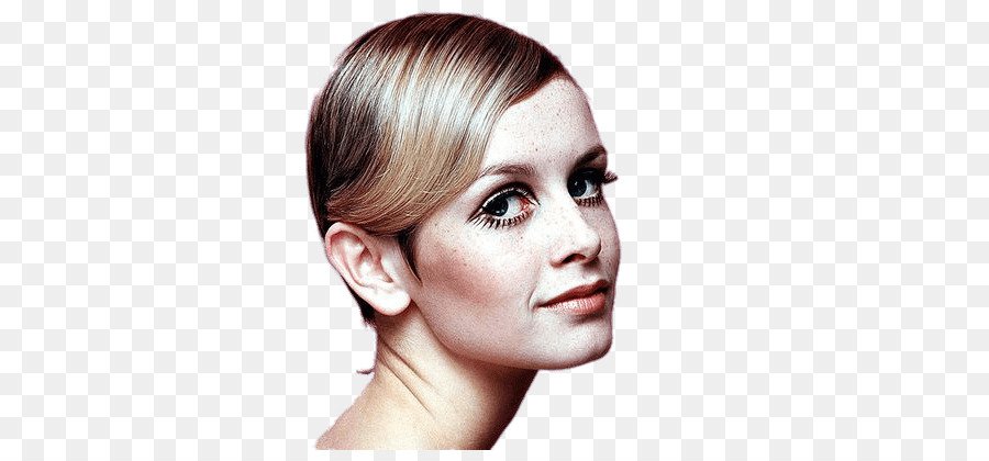 twiggy png - Google Search