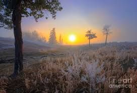 first frost - Google Search